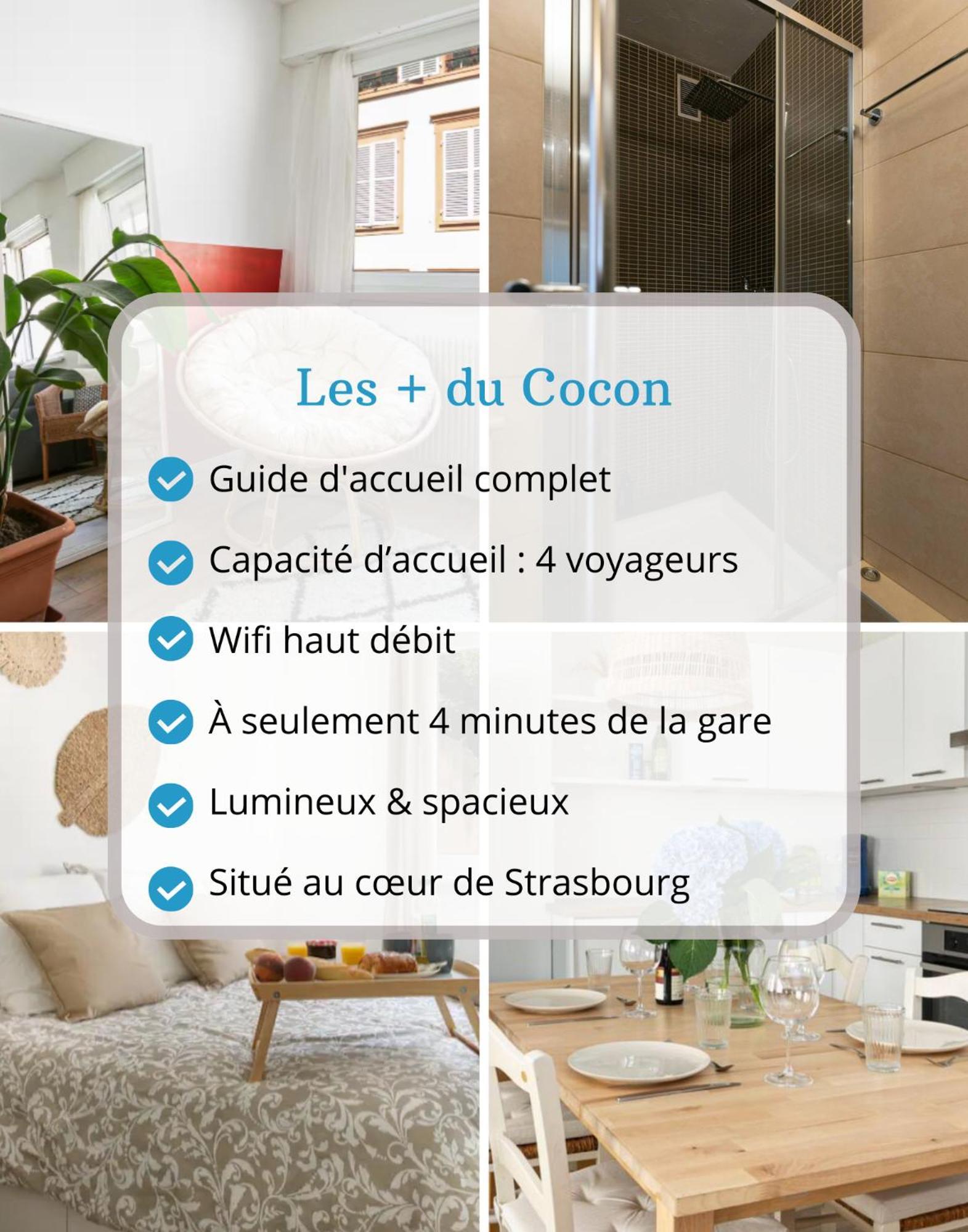 Le Cocon - Proche Gare - Lumineux & Centre Ville - Commerces A Proximite Strasbourg Ngoại thất bức ảnh