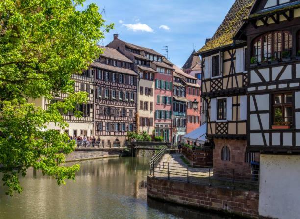 Le Cocon - Proche Gare - Lumineux & Centre Ville - Commerces A Proximite Strasbourg Ngoại thất bức ảnh