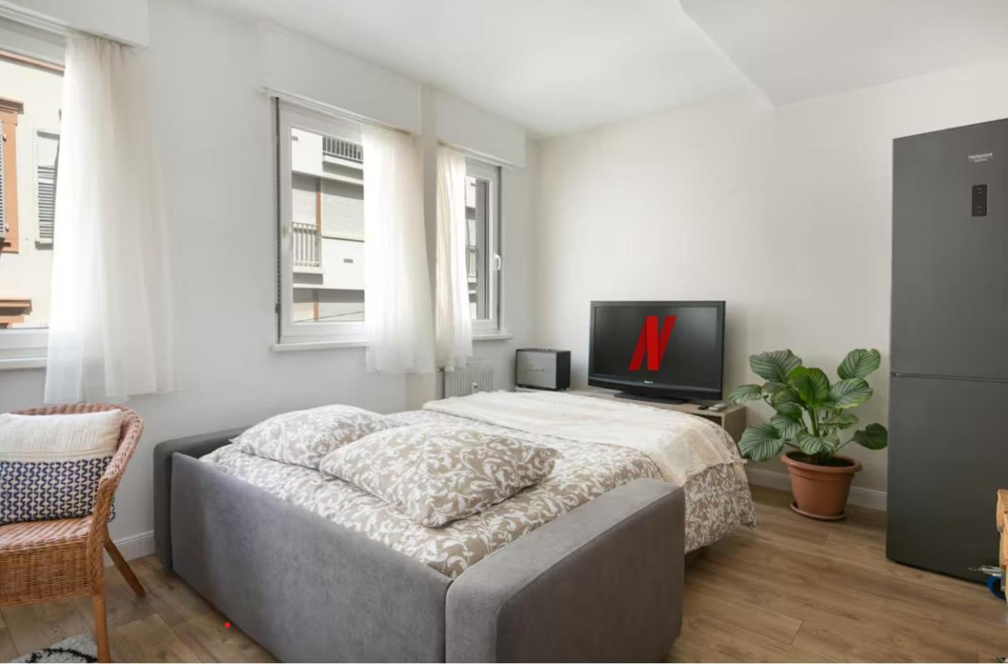 Le Cocon - Proche Gare - Lumineux & Centre Ville - Commerces A Proximite Strasbourg Ngoại thất bức ảnh